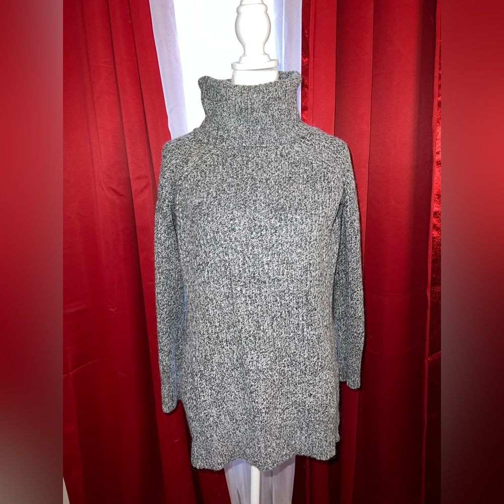 Express High Low turtleneck